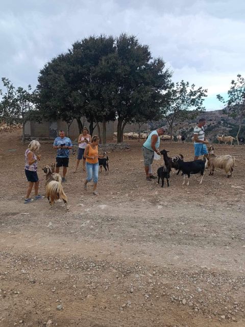 Malia: 4X4 Self Drive Safari Free Pick up & Lunch - Requirements and Restrictions