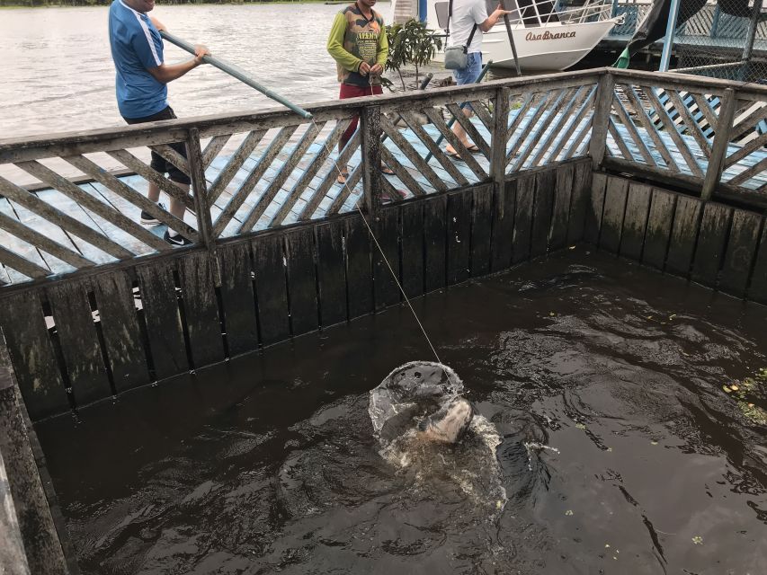 Manaus: Old City Guided Tour Plus Amazon River Boat Tour - Review Summary