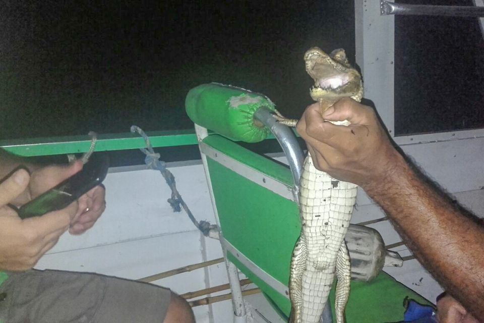 Manaus: Piranha Fishing and Alligator Watch Evening Tour - Cultural Insights Along the River