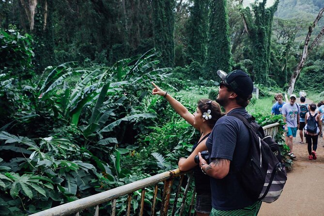 Manoa Waterfall Hike From Waikiki With Healthy Lunch Included - Recommended Preparation Tips