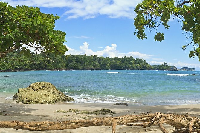 Manuel Antonio National Park Day Trip From San Jose - Important Travel Information