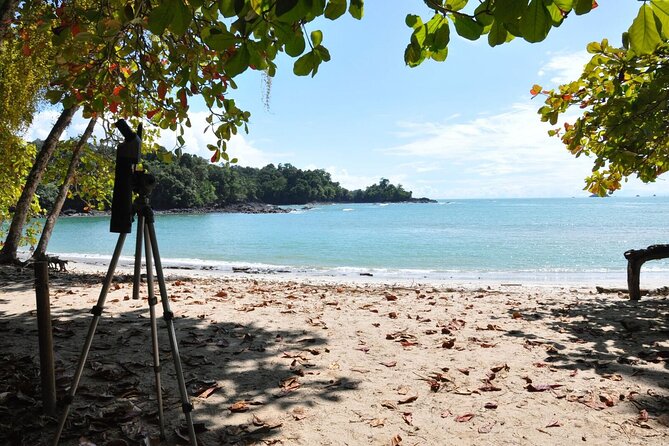 Manuel Antonio National Park Hiking Tour From Jacó - Scenic Trails and Beaches