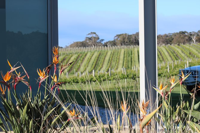 Margaret River Wine and Sights Discovery Tour From Busselton or Dunsborough - Local Food and Wine Tasting