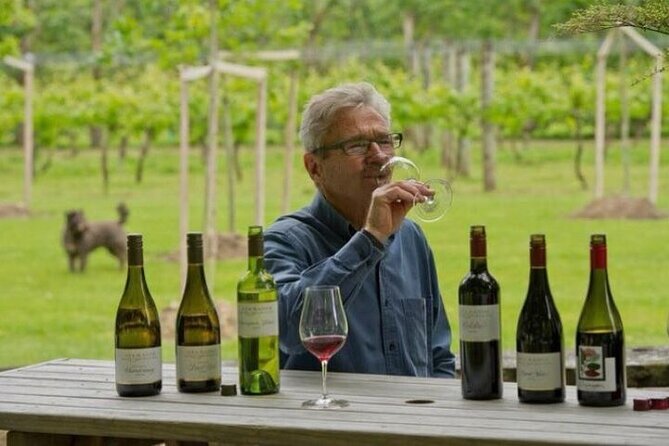 Martinborough Private 5 Hour Food & Wine Tour With Gourmet Lunch - Accessibility Features