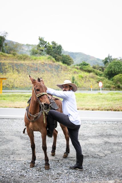 Medellin: Coffee Tour, Horseback Arrival, and Sugar Cane - Inclusions and Exclusions