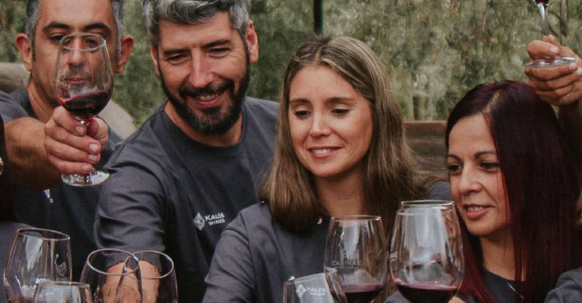 Mendoza: Private Wine Tour, Tastings and Lunch With Pairings - Transportation Arrangements