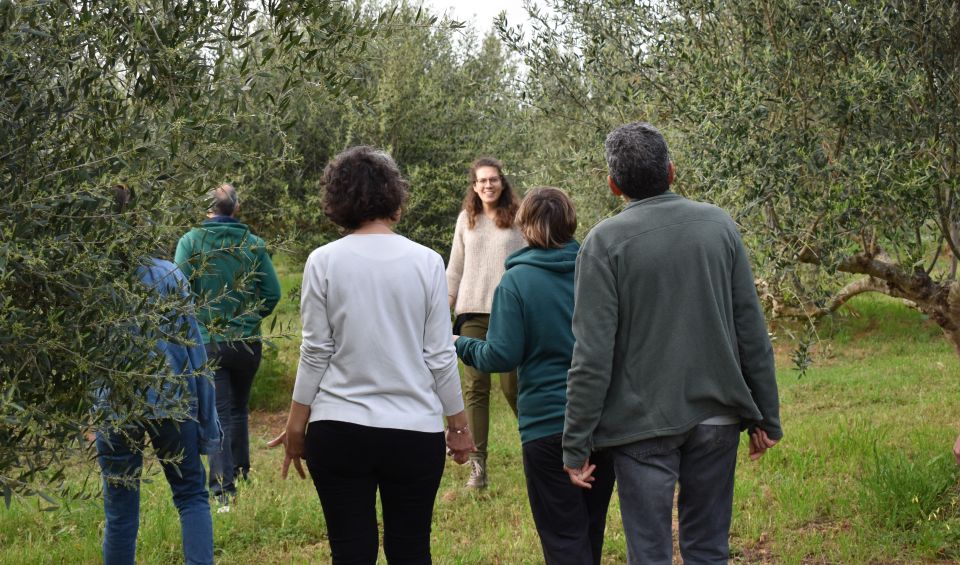 Messenia: Olive Oil Experience-Full Tour,Food Pairing,Dinner - Culinary Experience