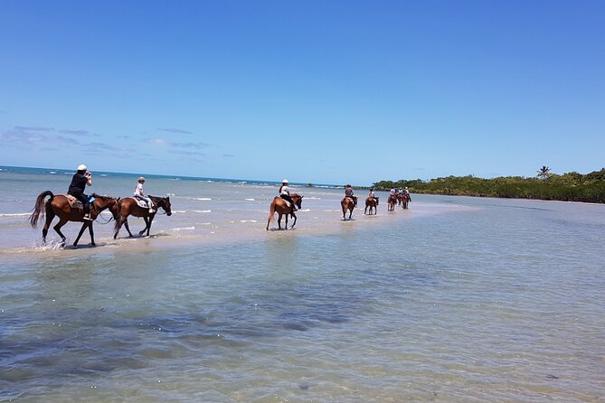 Mid-Morning Beach Horse Ride in Cape Tribulation - Best Time to Visit