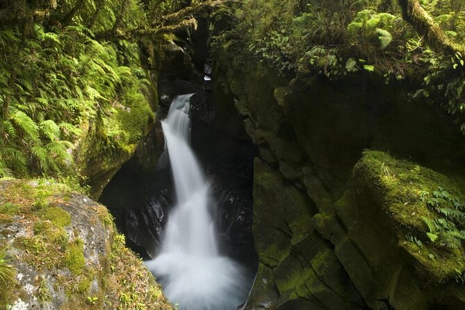 Milford Sound Discovery Tour - Accessibility and Participation