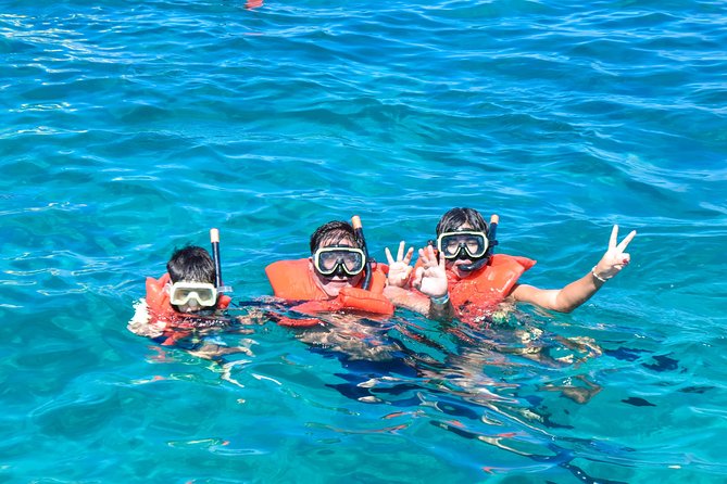 Mimosa Snorkeling Tour From Punta Cana - Tips for a Great Experience