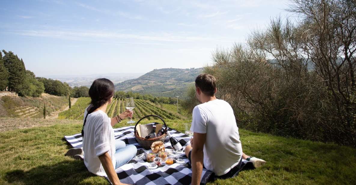 Montalcino: Vineyard Picnic With a Bottle of Wine - Directions to the Winery