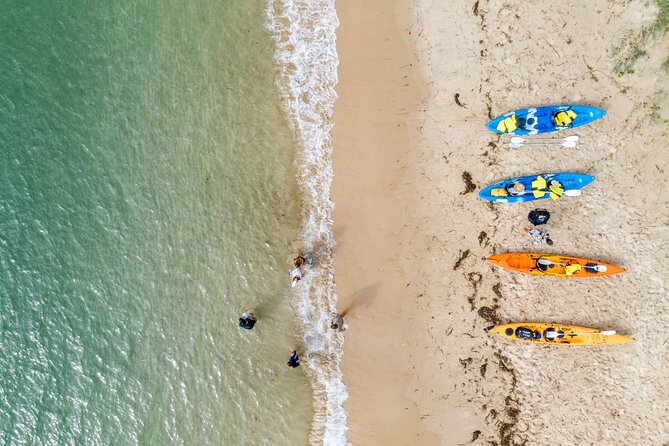 Morning Kayaking and Snorkeling Tour - Wildlife Encounters