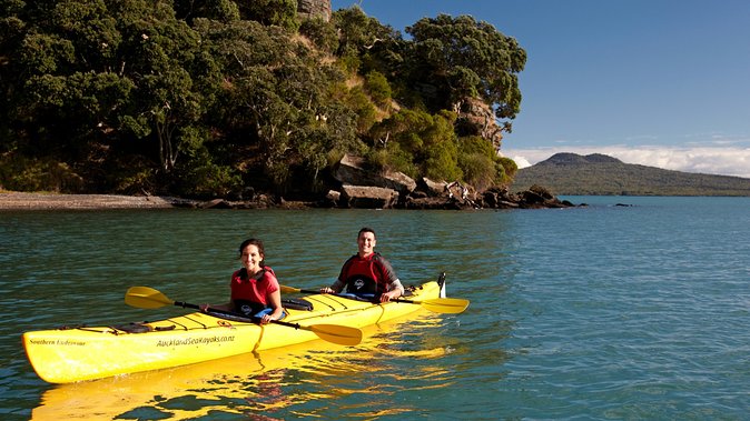 Motukorea / Browns Island Sea Kayak Journey - Booking Information