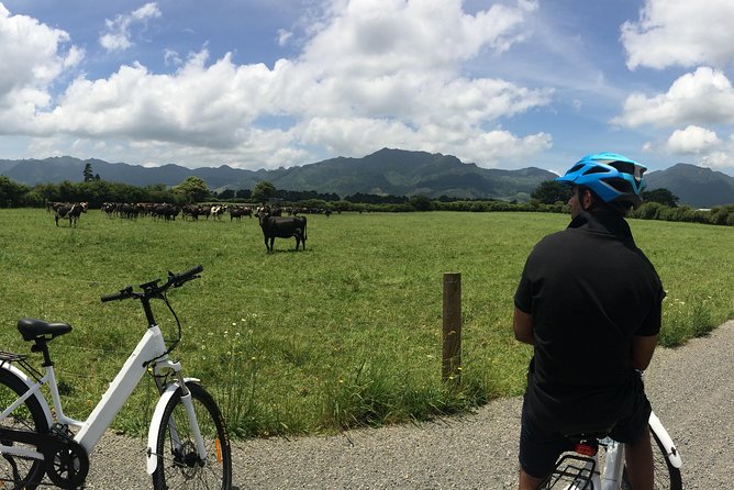 Mt. Te Aroha Bike Hire & Tours - Participant Requirements