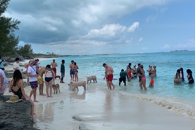 Nas: 3 Islands, Snorkeling, Pig Beach , Turtles & Lunch Boat Trip - Pig Beach Experience
