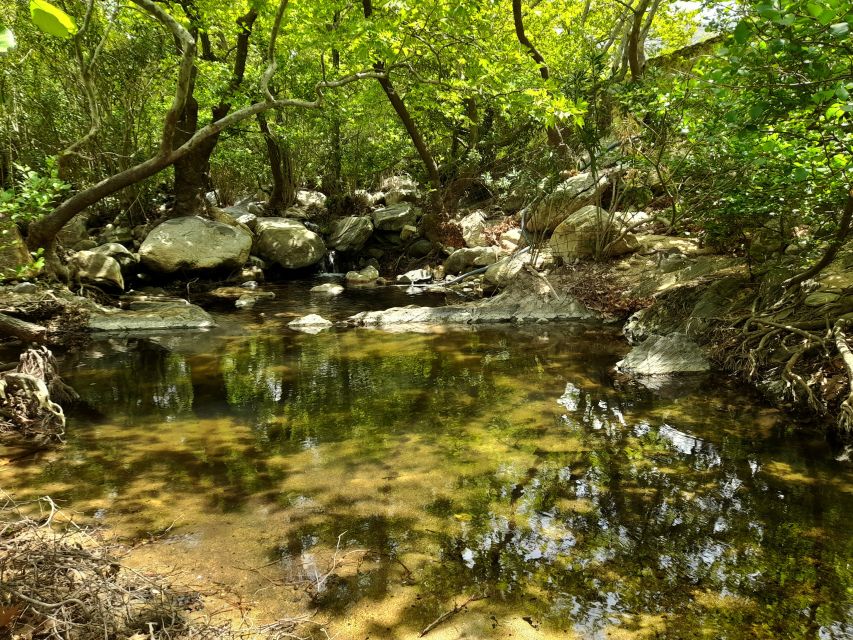 Naxos: a Riverbank Adventure (Kinidaros - Eggares Villages) - Included Services and Safety