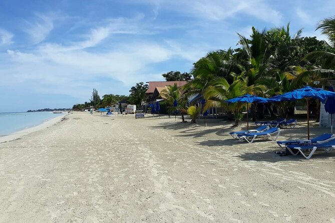 Negril 7 Miles Beach and Ricks Cafe Tour - Highlights of Negril 7 Miles Beach