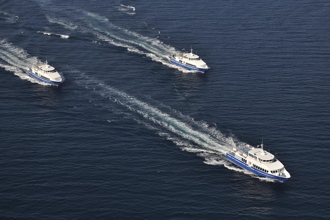 Nice to St Tropez Ferry Ticket and Cruise - Customer Feedback