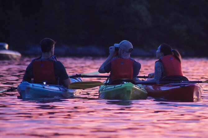 Nickajack Bat Cave Kayak Tour With Chattanooga Guided Adventures - What to Bring