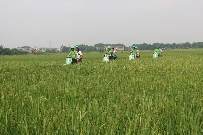 Ninh Binh Vespa Start From Hanoi + Boat + Villages +Rice Paddies - Cancellation Policy Overview