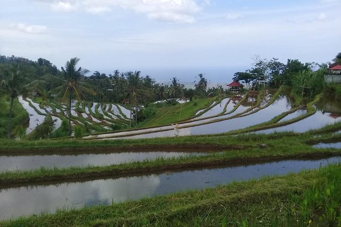 North Bali Cross Country Downhill Cycling - Health and Safety Guidelines