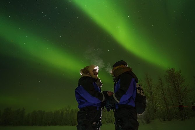 Northern Lights Tour to Lake Inari From Ivalo, Reindeers & Dinner - Dinner Menu Highlights