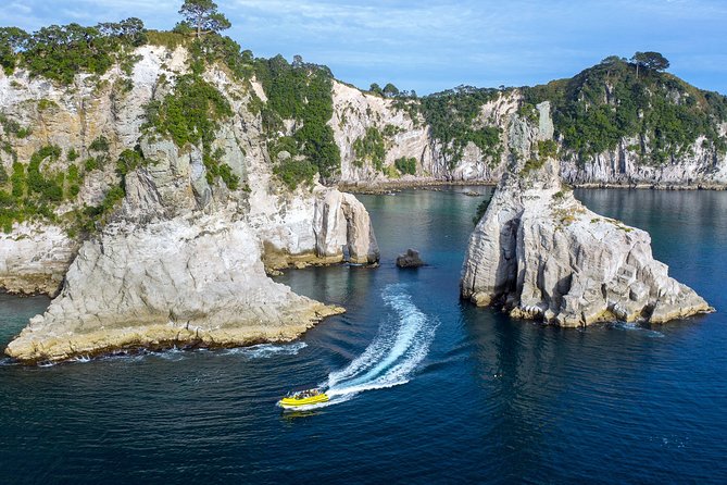 Ocean Leopard Tours - Cathedral Cove Boat Tour - Customer Feedback and Reviews