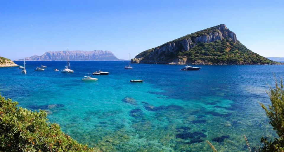 Olbia : Dolphins Watching & Snorkeling - What to Bring