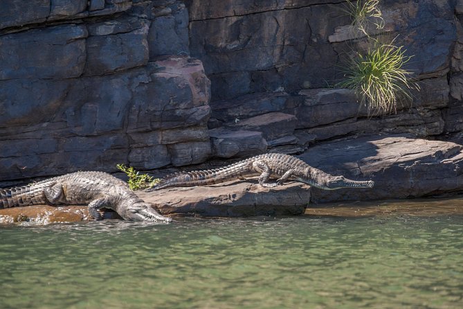 Ord River Discoverer Cruise With Sunset - Pricing Details