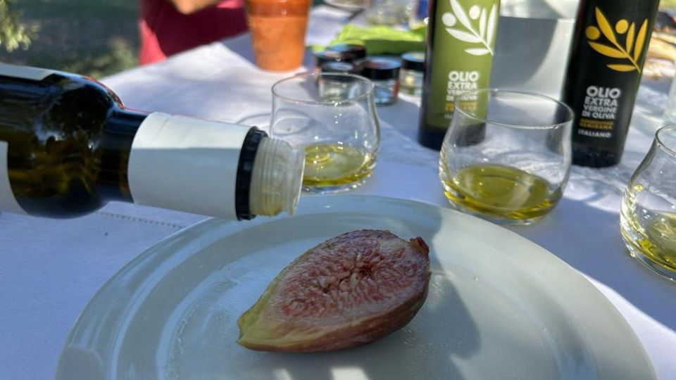 Oristano: Olive Tree Grove Guided Visit With Tasting - Farm and Olive Oil History