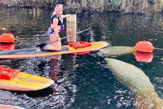 Orlando Manatee and Natural Spring Adventure Tour at Blue Springs - Meeting Logistics