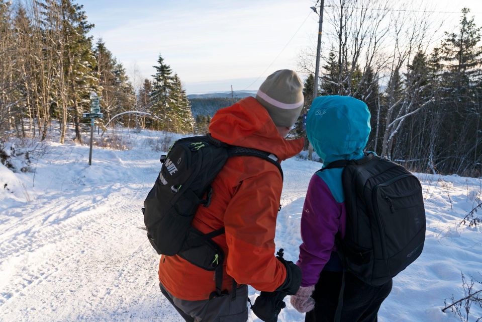 Oslo: Snow Hike to Vettakollen With Oslofjord Winter View - Preparing for Your Hike