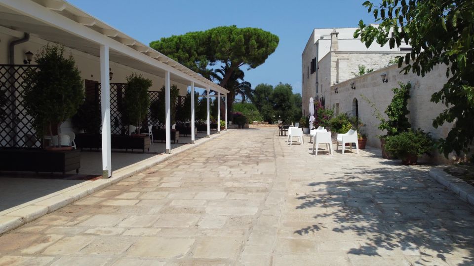 Ostuni: Olive Oil Tasting Tour - Learning Opportunities