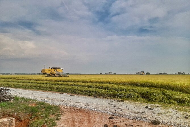 Paddy Field, Fishing Village Sekinchan DAY Tour Lunch (SIC-Shared/Join In Tour) - Tour Restrictions