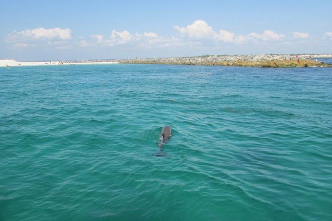 Panama City Beach Dolphin Sightseeing Sail - Weather Considerations