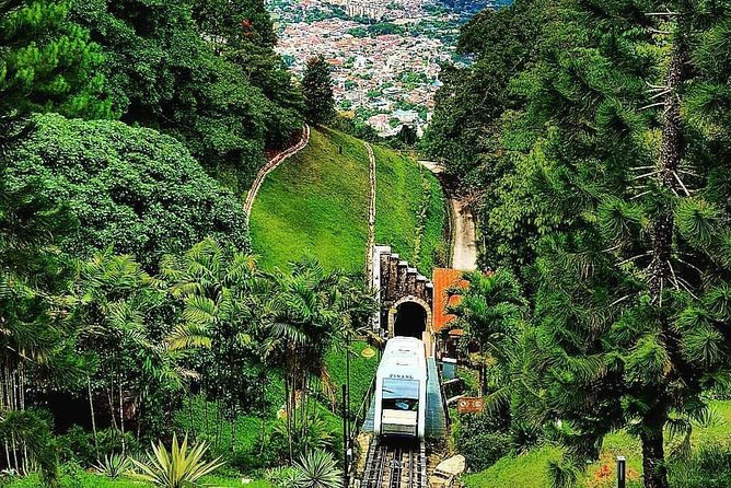 Penang Shore Excursion Day Trip With Temple and Penang Hill Tickets (Fast Lane) - Meeting and Pickup Information