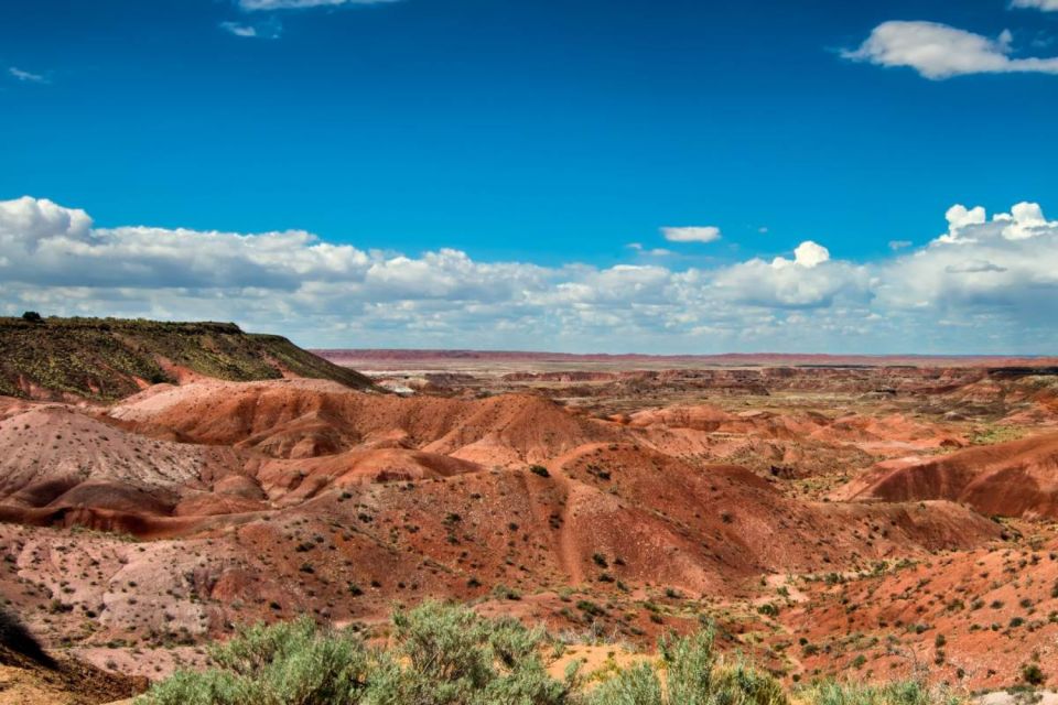 Petrified Forest National Park Self-Guided Audio Tour - What to Bring