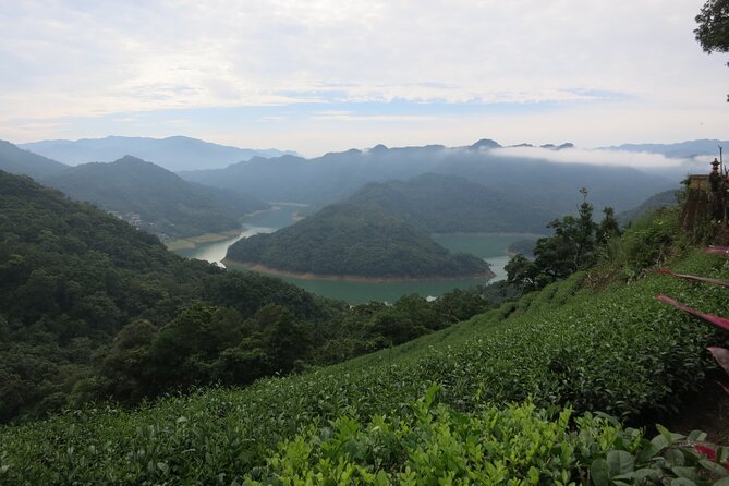 Pinglin Tea Culture & Maokong Day Tour From Taipei - Maokong Gondola Experience