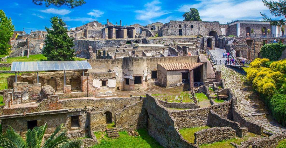 Pompeii Fast Tour: Visit of Pompeii Ruins With a Guide - Frequently Asked Questions