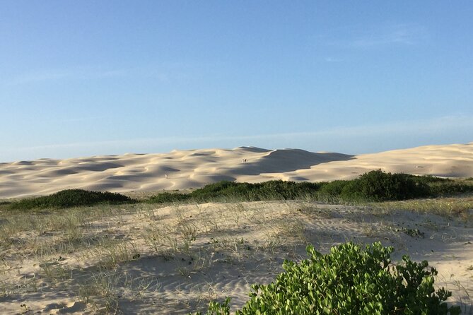 Port Stephens, Beach and Sand Dune 4WD Tag-Along Tour - Tour Guide Expertise