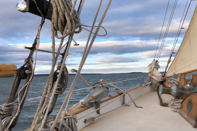 Portland Tall Ship Cruise on Casco Bay - Wildlife Sightings