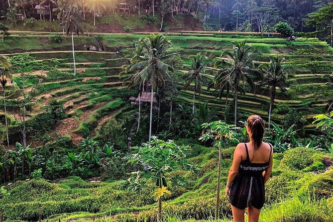 Private Bali Tour: Wonderful Ubud With Swing - Inclusions and Amenities