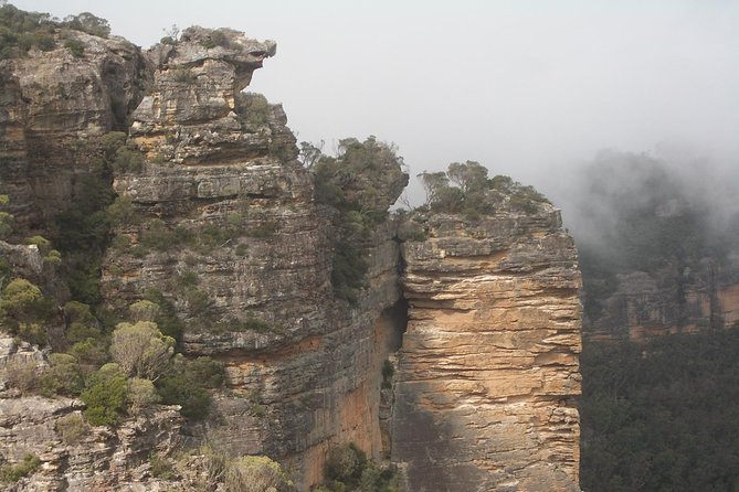 PRIVATE Blue Mountains Day Tour From Sydney With Wildlife Park and River Cruise - Wildlife Encounters