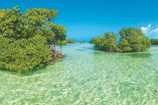 Private Boat Trip With Guide on the Most Beautiful Lagoon of Guadeloupe - Customer Reviews and Ratings