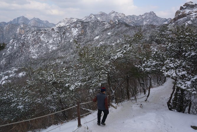 Private Bukhansan Hiking Tour (More Members Less Cost per Person) - Pricing Details and Options