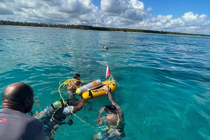 Private Catamaran Tour of Punta Cana - Accessibility Information