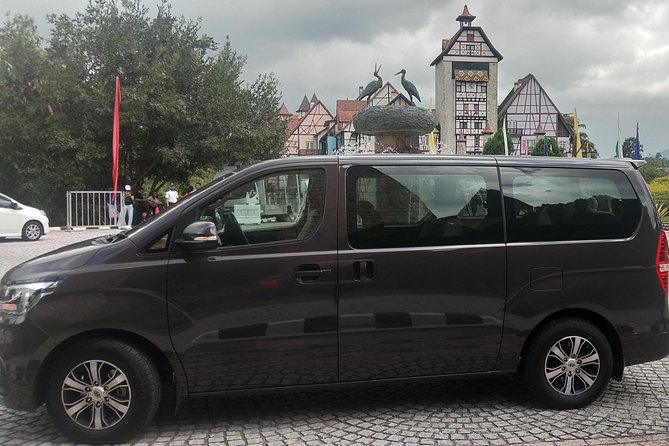 Private Chauffeur For Meetings, Side Visit, Tours, Airport Transfer, Sightseeing - Tips for a Great Experience