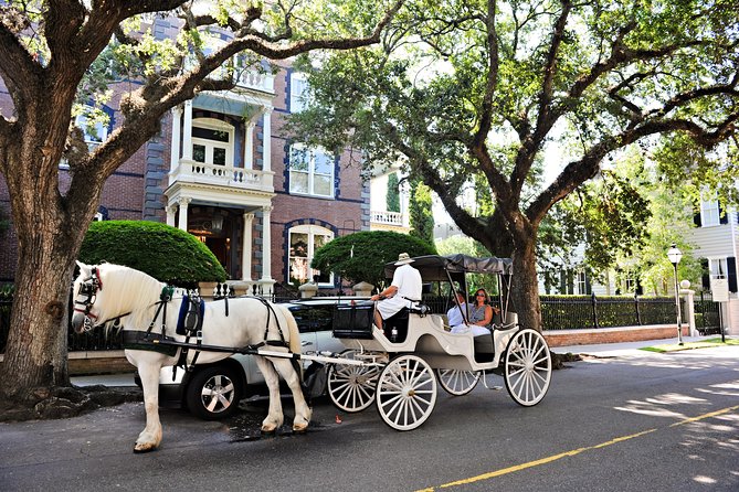 Private Daytime or Evening Horse-Drawn Carriage Tour of Historic Charleston - Booking Information