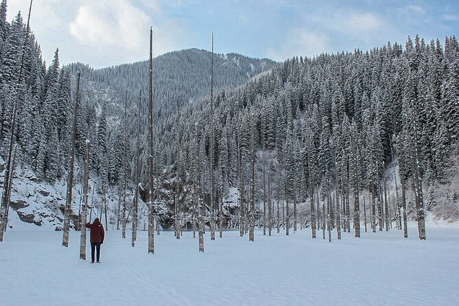 Private DayTour - Pearl Lakes Kolsai & Kaindy (Flooded Forest) via Charyn Canyon - Booking Your Tour