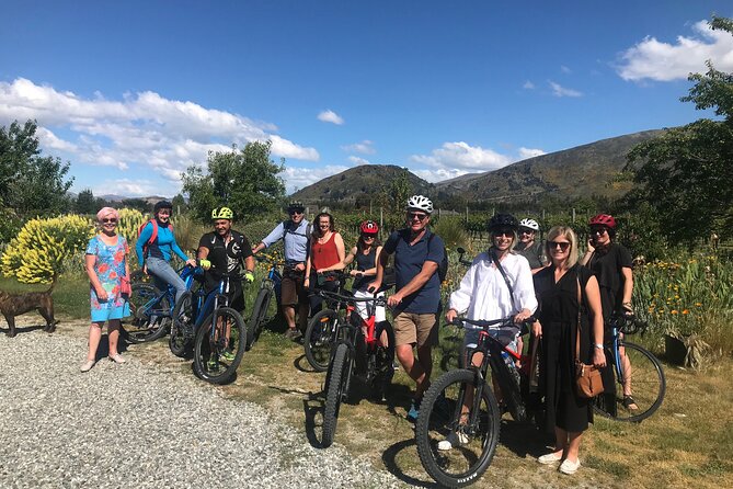 Private E-Bike Wine Tour in Wanaka - Why Choose a Private Tour